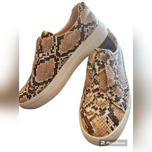 J/Slides Reptile Pattern Size 7 1/2